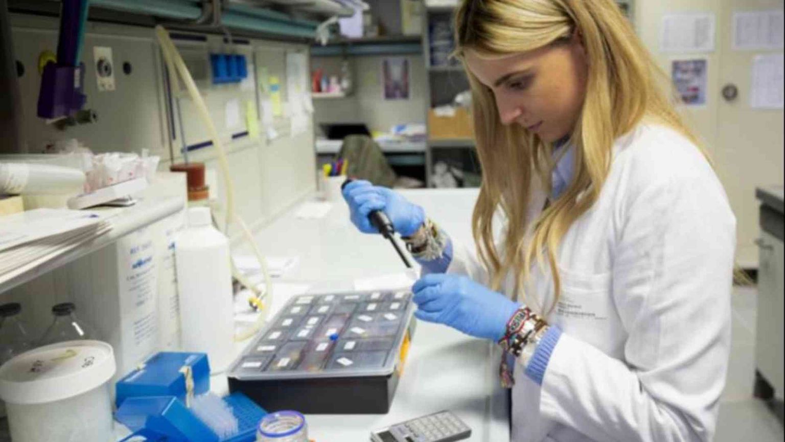 “Linfociti killer” per curare i tumori al pancreas e al colon