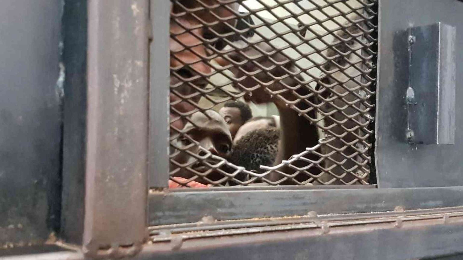 Traffico migranti, arrestati due fratelli bengalesi