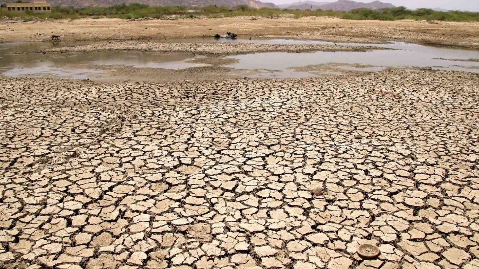 L’uragano Donald si abbatte sul clima. E preoccupa