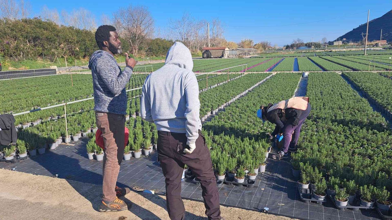 Un sindacalista tra gli sfruttati. «Nei campi raccolgo le loro denunce»