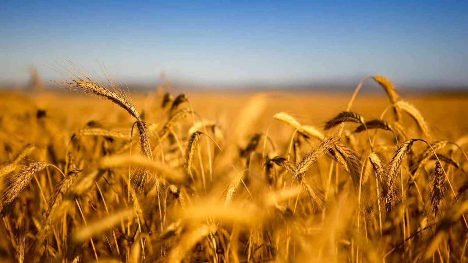 Chiedere perdono anche per chi non riesce a farlo