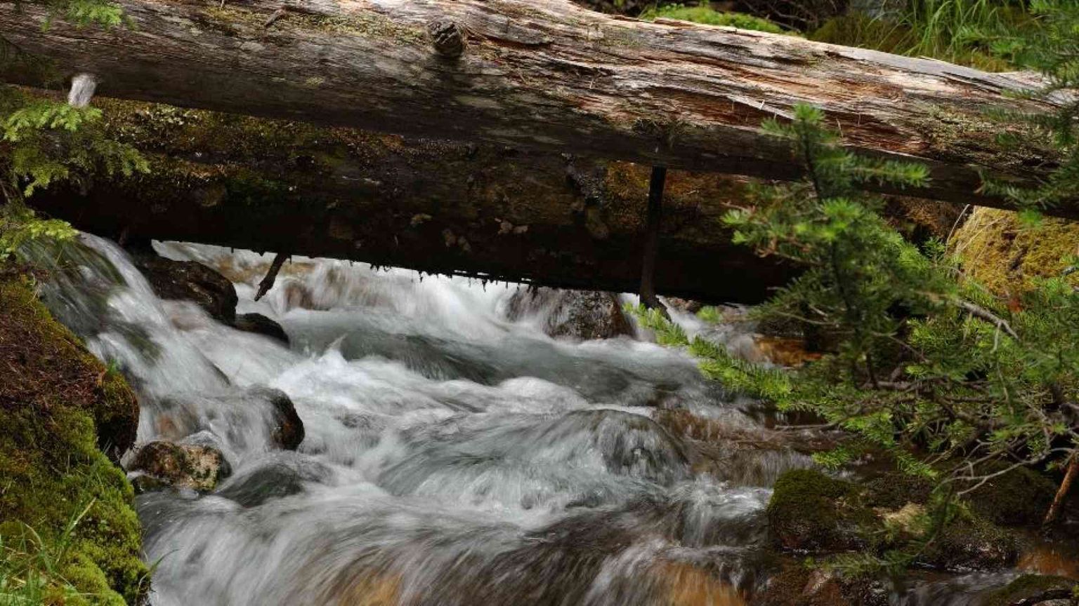 I digiuni che liberano il cuore