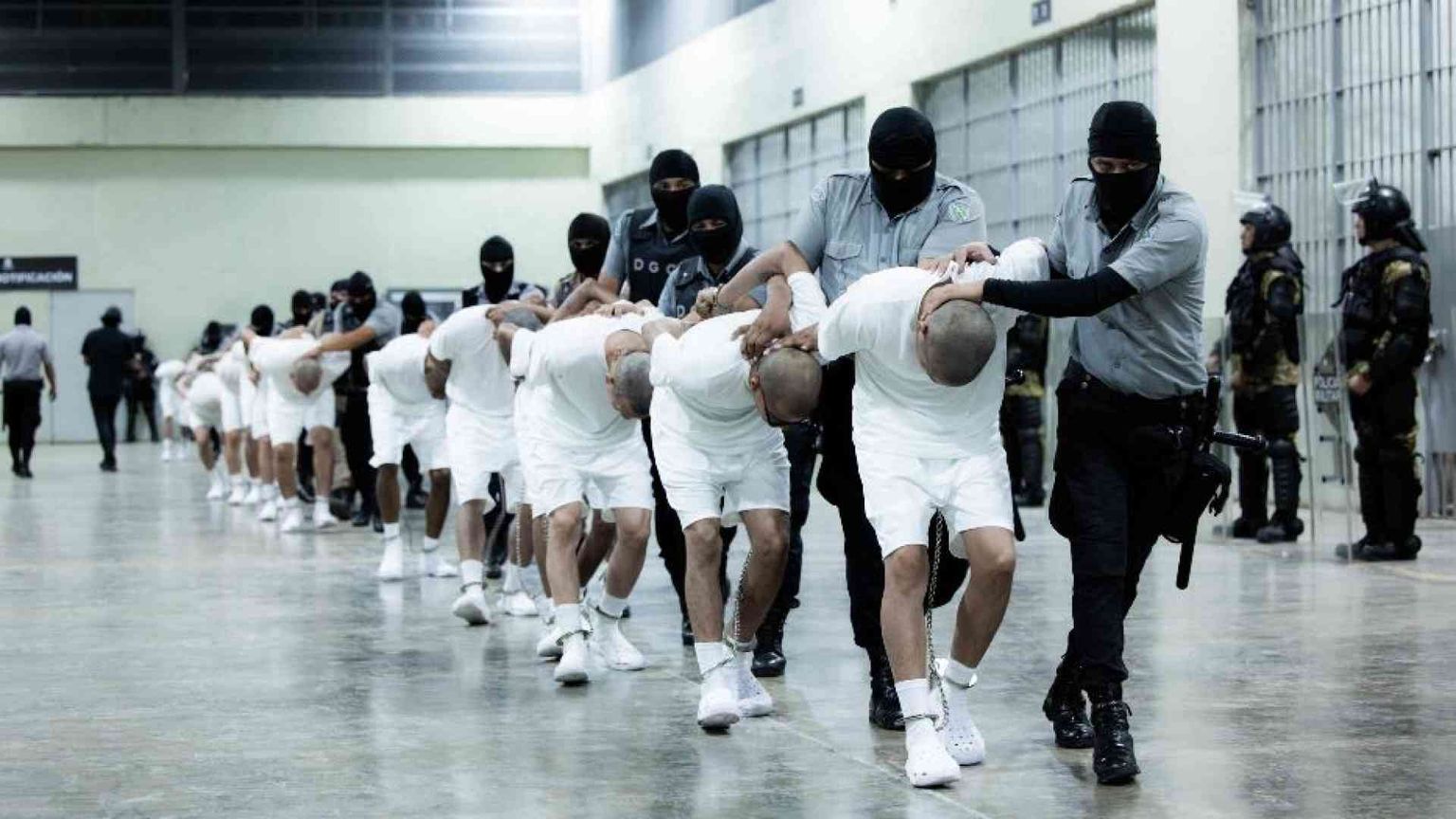 Trump ricorre ai «poteri di guerra» per 261 deportazioni nel Salvador