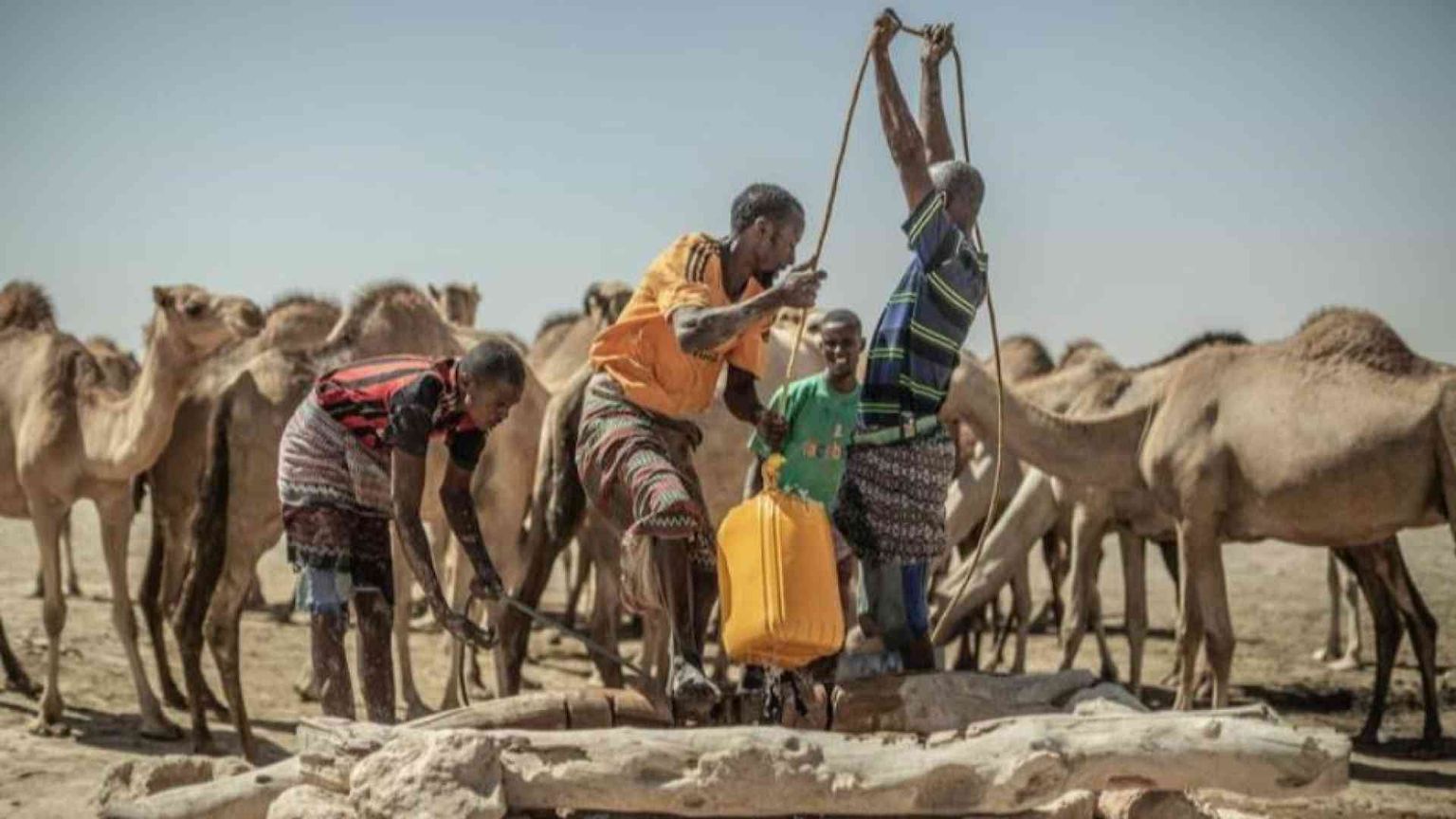 L'allarme Onu: record di profughi climatici nel 2024