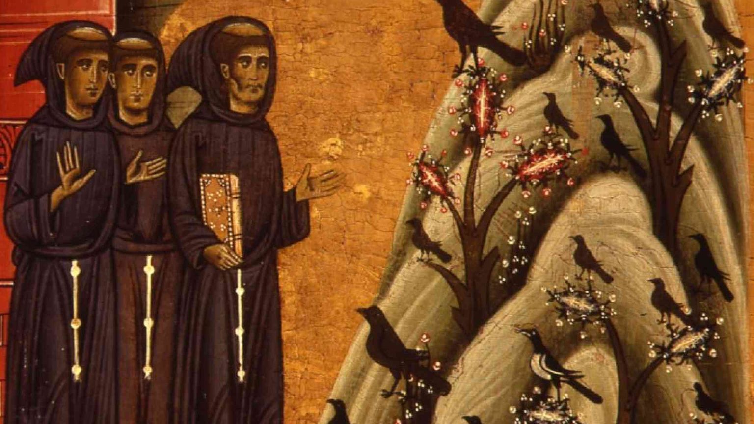 Pietro Maranesi: «San Francesco è il precursore dell’ecologia integrale»