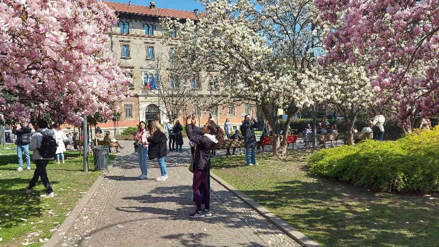 La fioritura nella piazza di Acutis. Una bellezza che conquista tutti