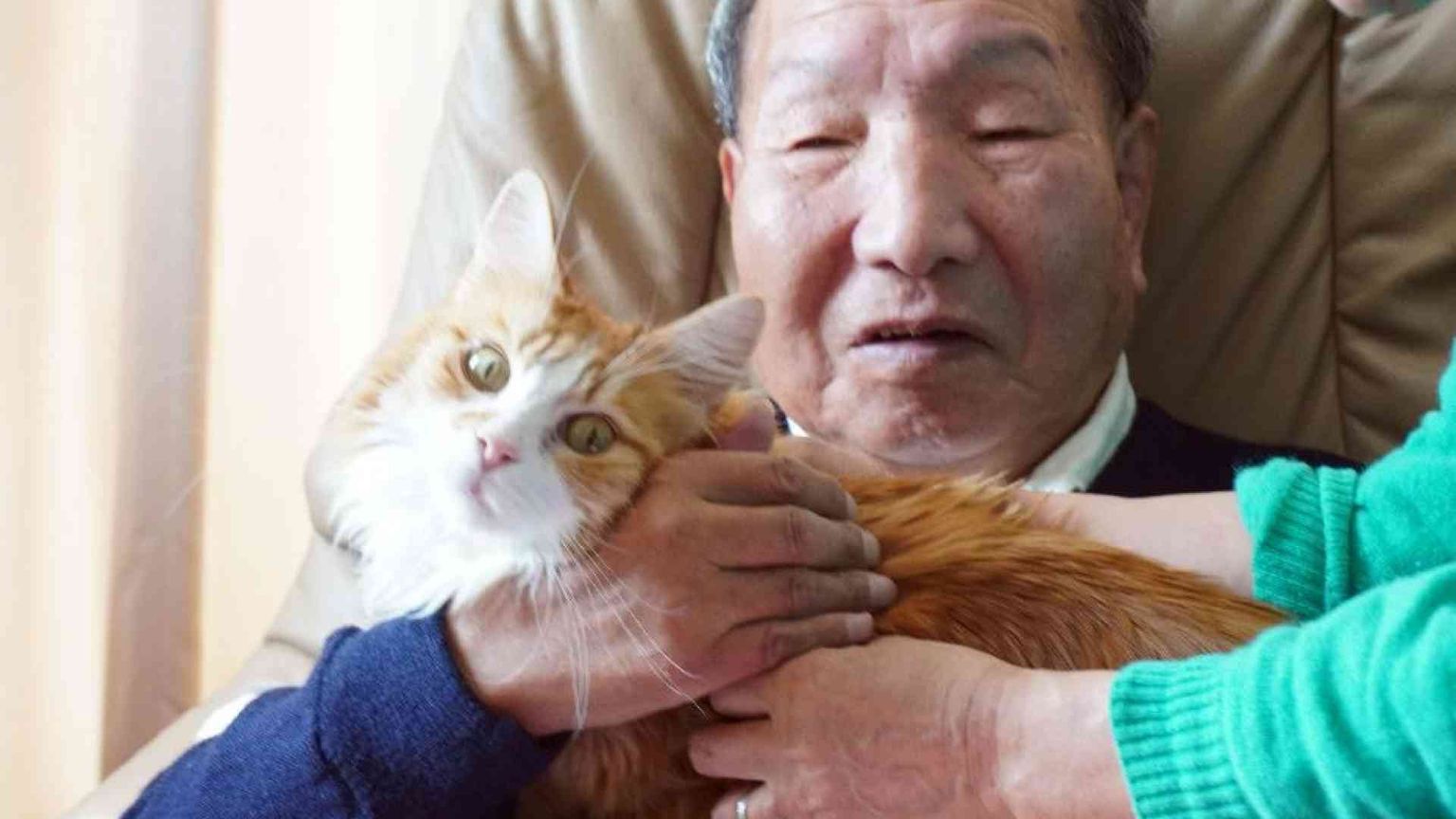 Per 56 anni in carcere da innocente: il risarcimento record al pugile 89enne