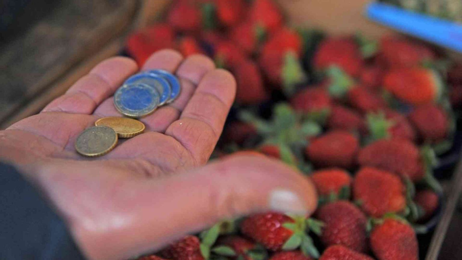 Un pacchetto di fragole per capire cosa vuol dire essere a rischio povertà