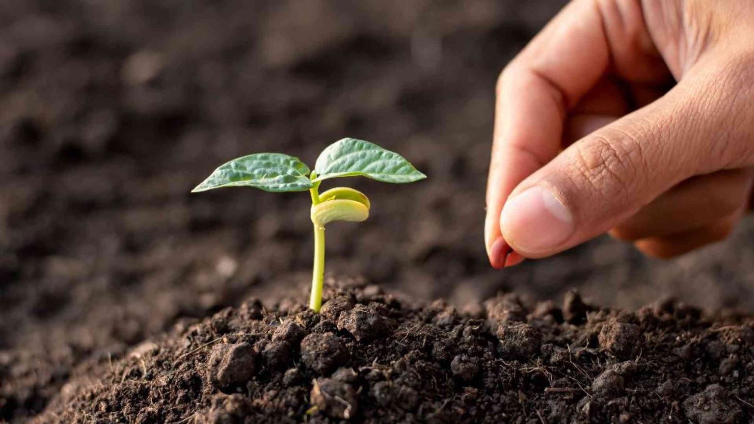 La forza della pazienza (e come ottenerla)