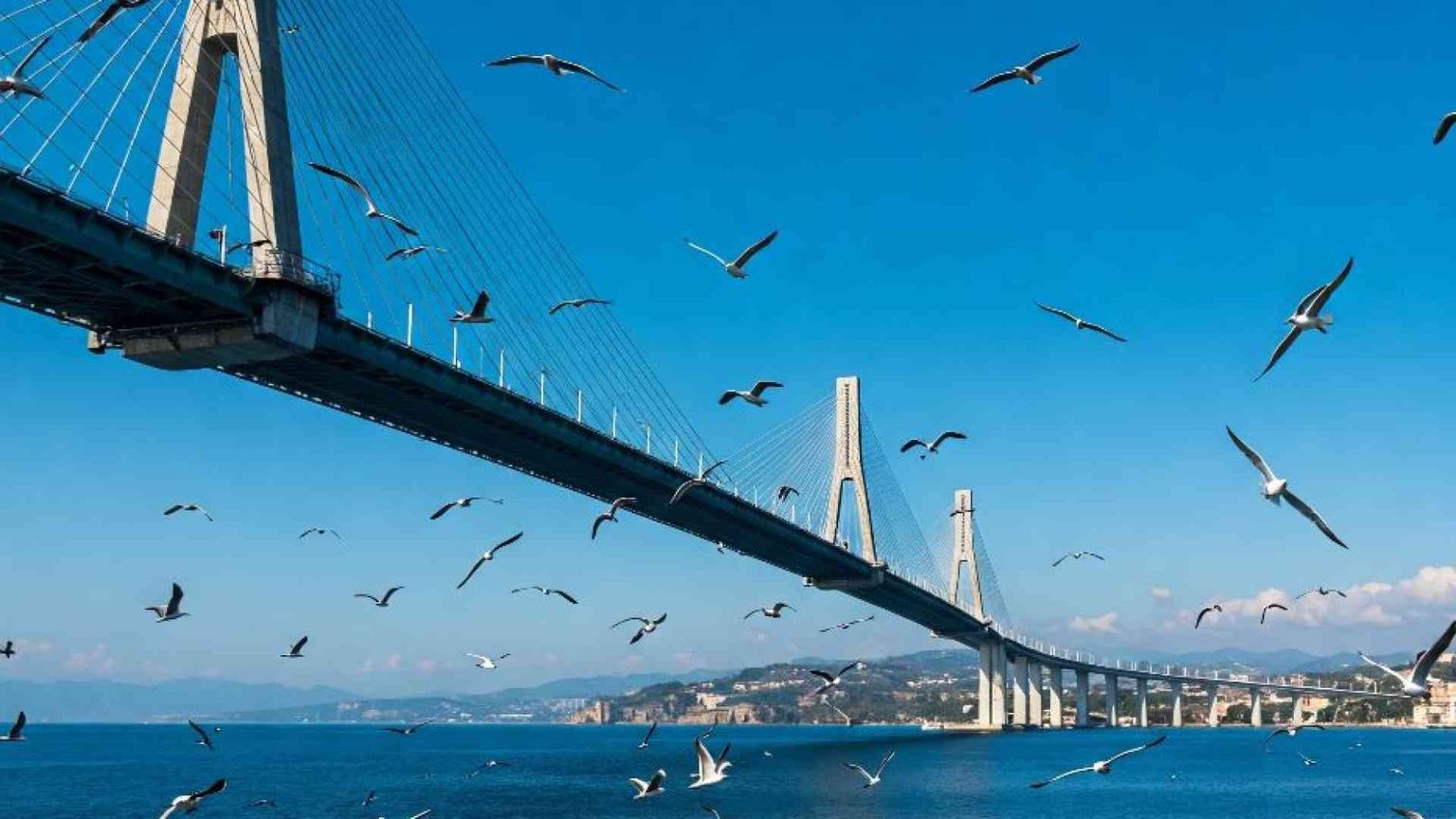 «Contro il ponte sullo Stretto tre azioni legali per il bene d'Italia»