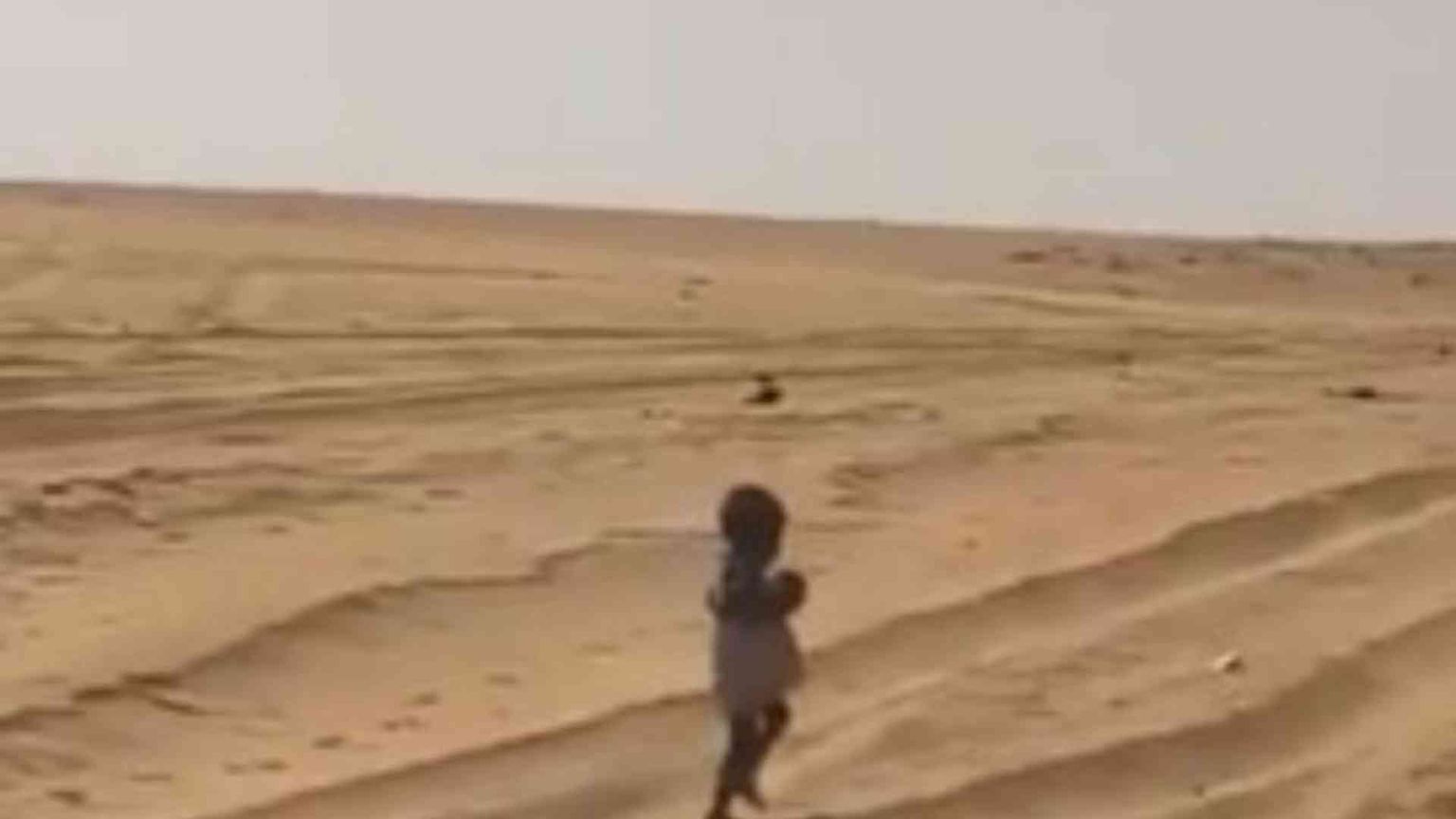 Il video choc della bimba da sola nel deserto: «Dov'è l'Europa?»