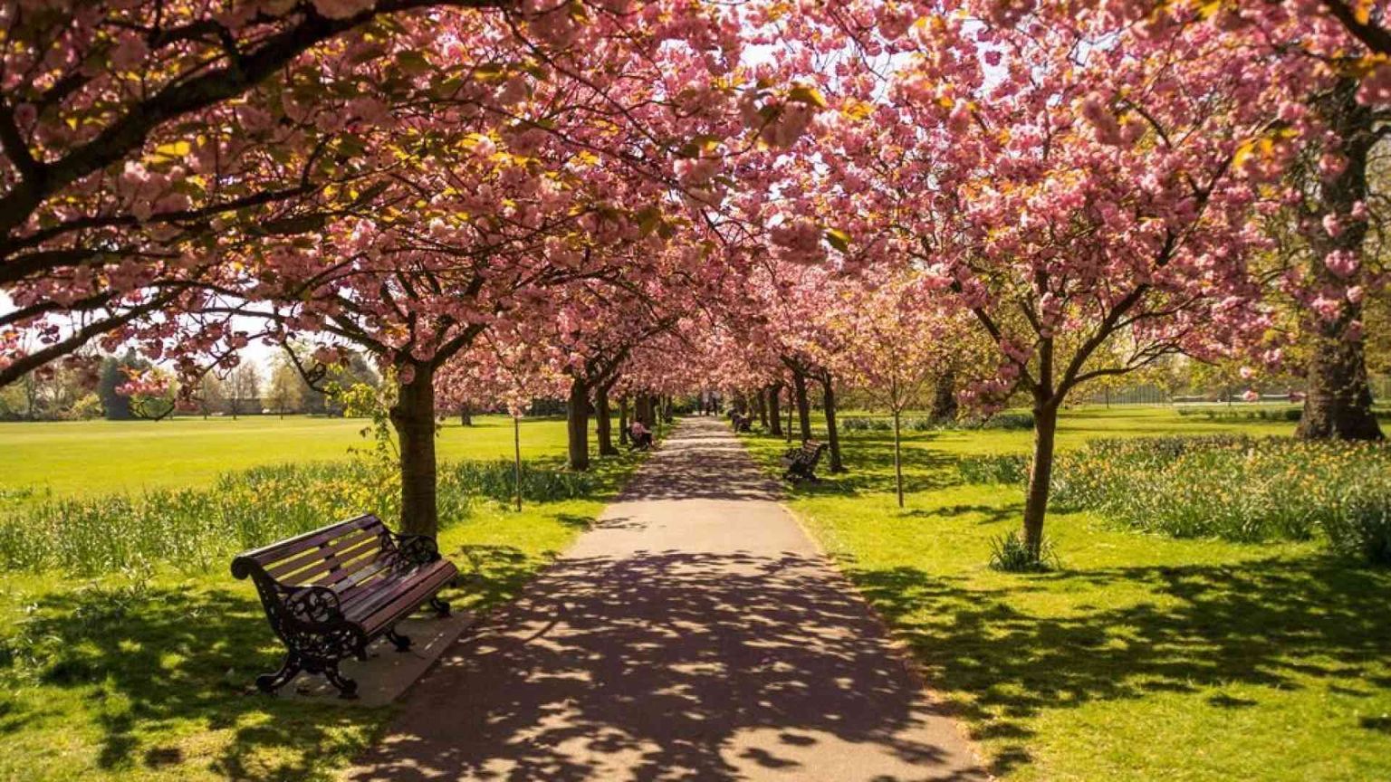 Piante e fiori da record, nel 2024 toccati i 3,3 miliardi di euro
