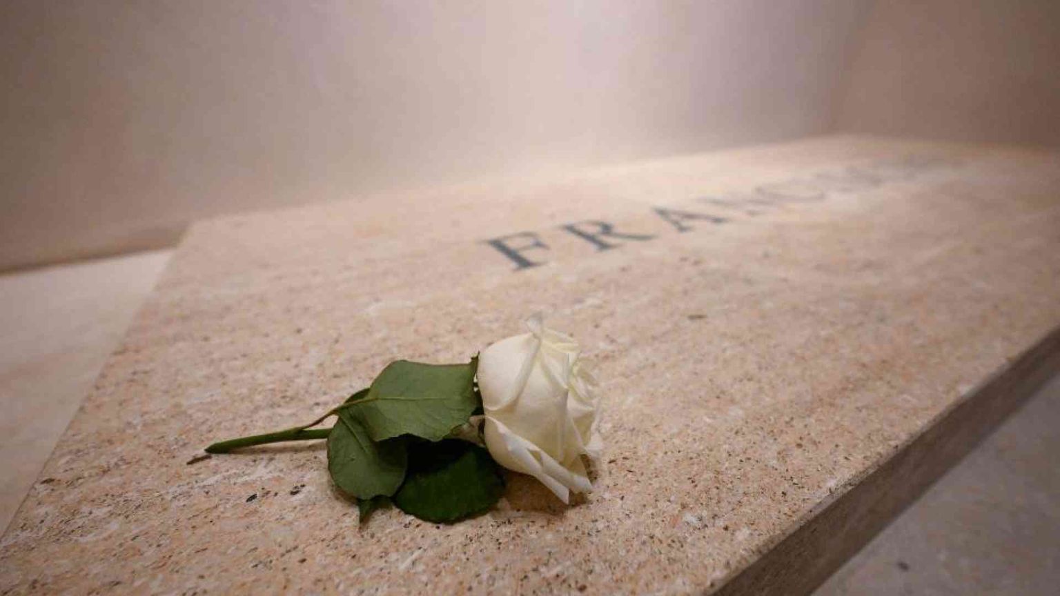 Teresa di Lisieux e la rosa bianca: la devozione di Francesco