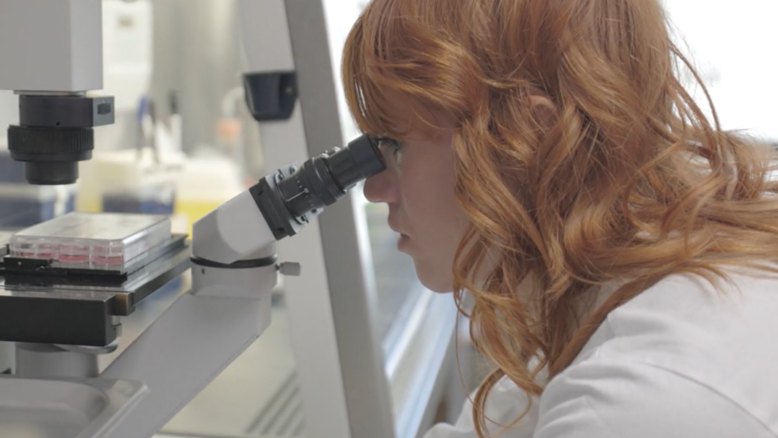 «C’è una strada fino al segreto dei neuroni. E noi la stiamo scoprendo»