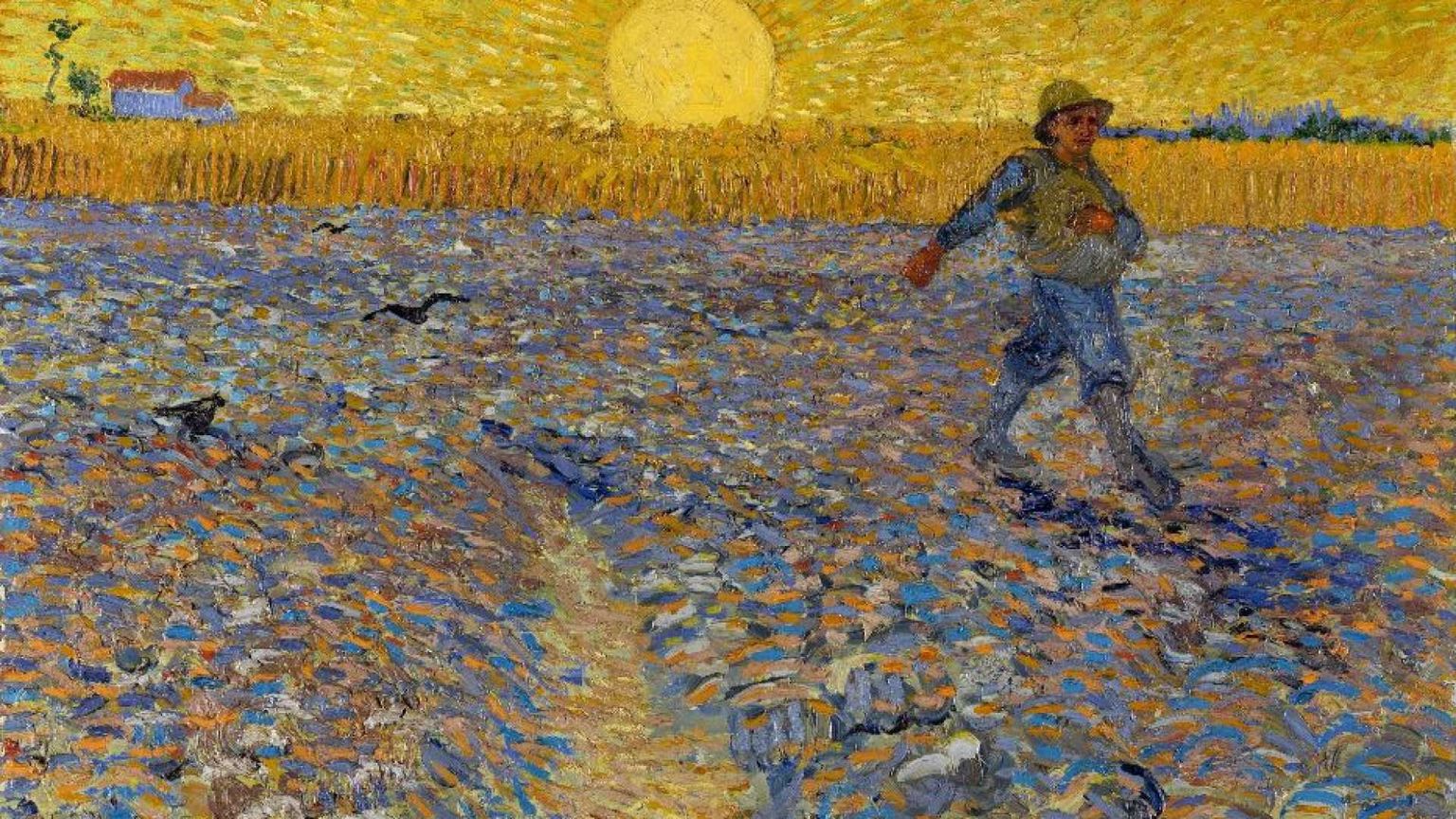 Il grano, la terra, il sole: il Papa spiega il “Seminatore” di van Gogh