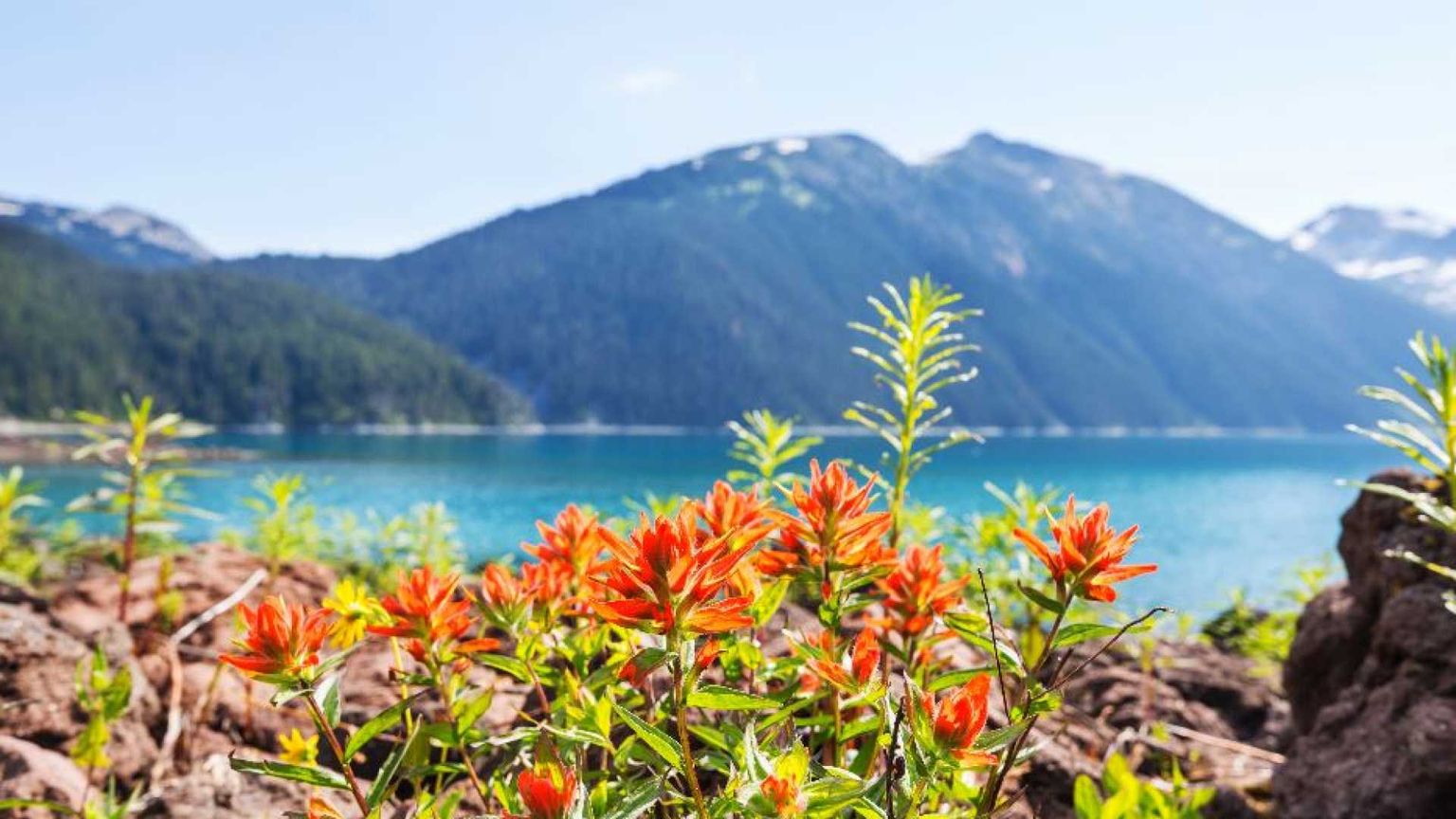 Nessuno sa davvero come pregare