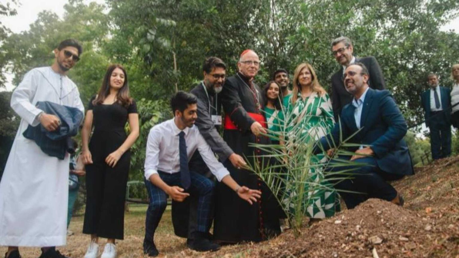 Basta con la guerra al creato: Laudato si’, la profezia di Francesco