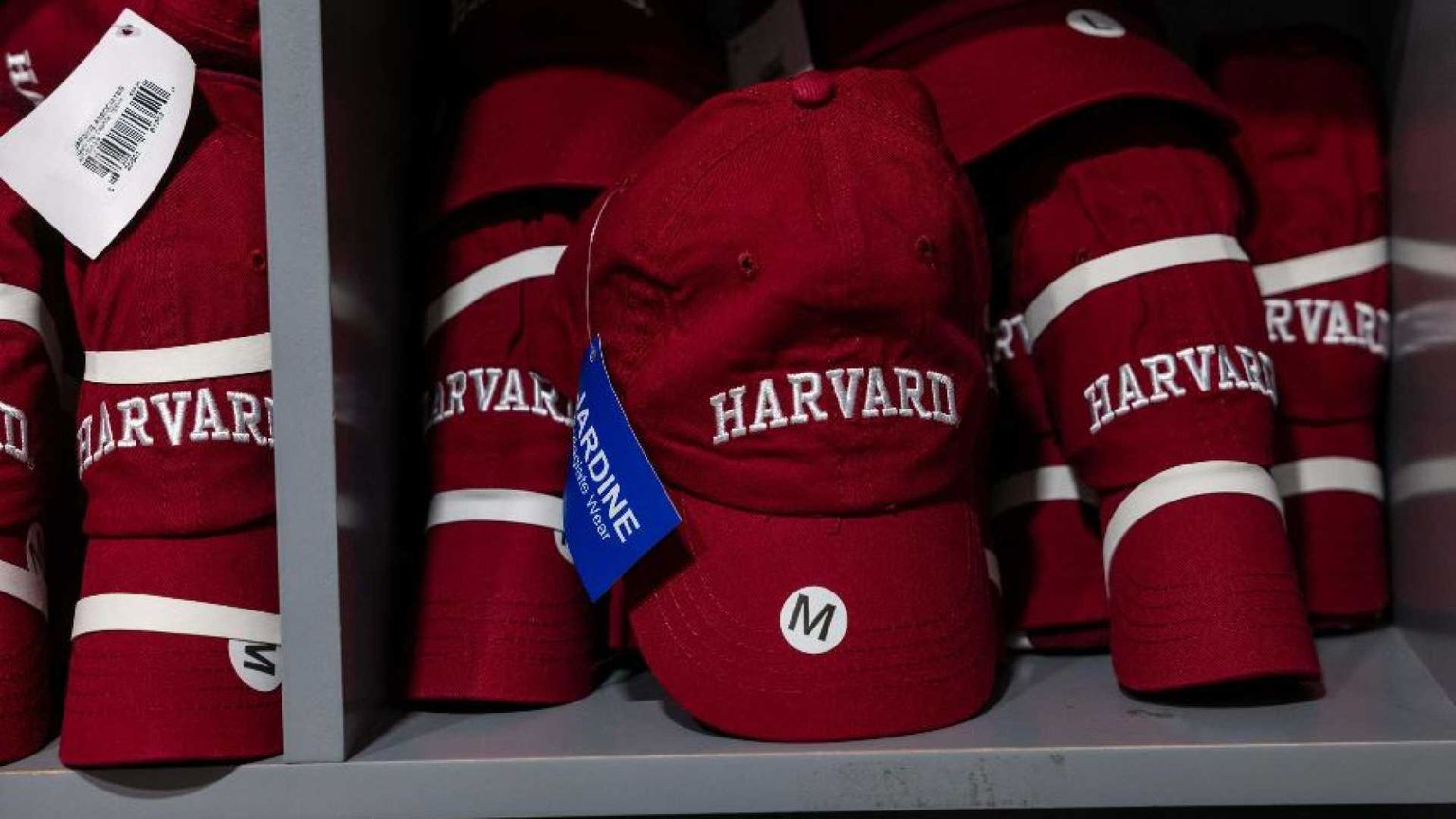 Rubio dichiara guerra ai cervelli cinesi: revocati i visti per gli studenti