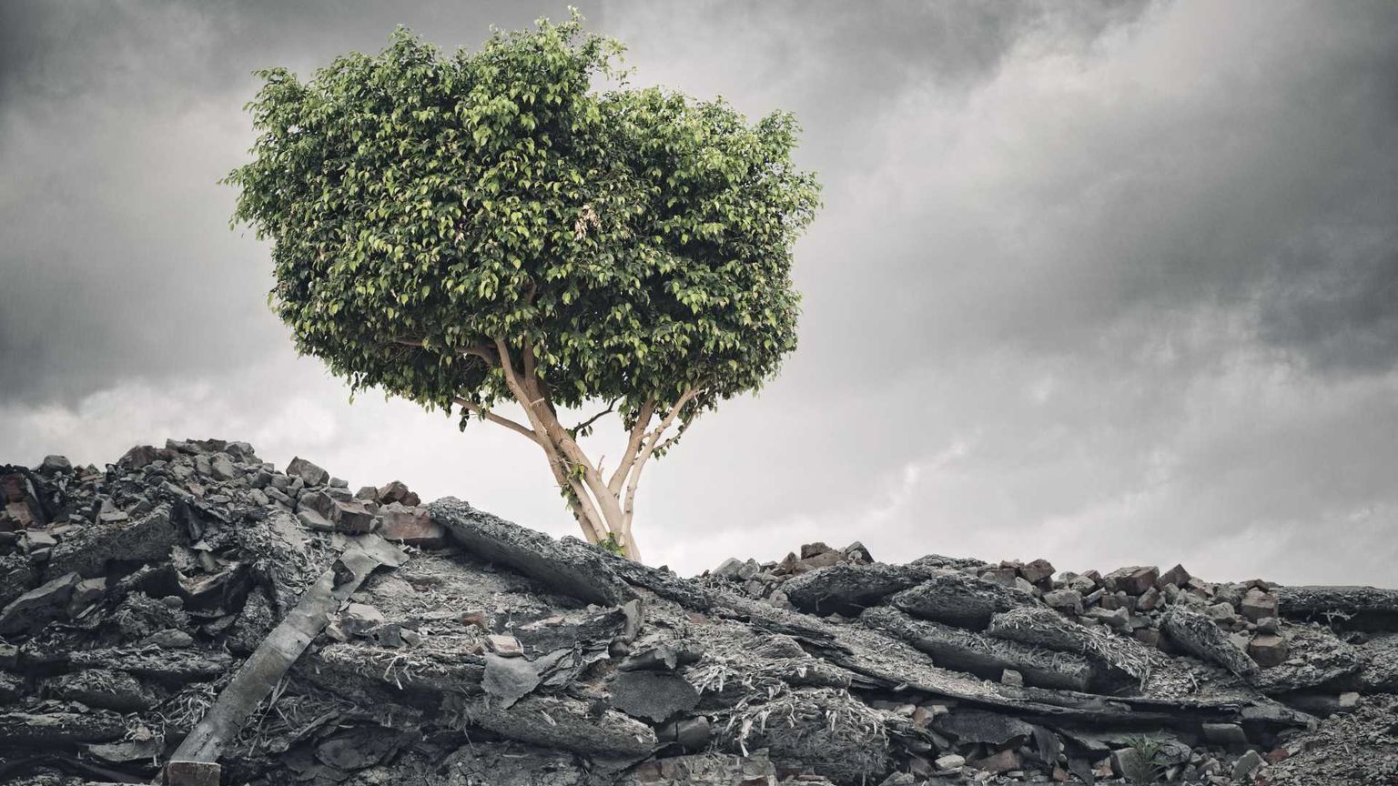 È questo capitalismo speculativo a farci detestare gli esseri umani