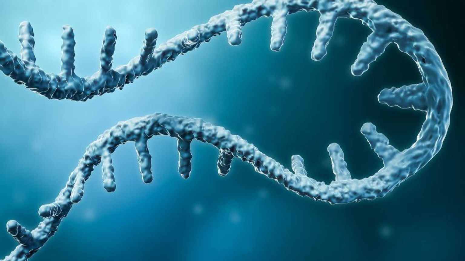 Rna messaggero, il "passe-partout" della ricerca