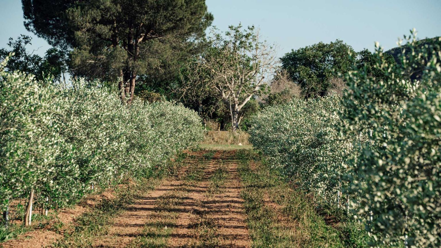 Lavoro e più investimenti sul territorio: c'è una ricetta anti-spopolamento