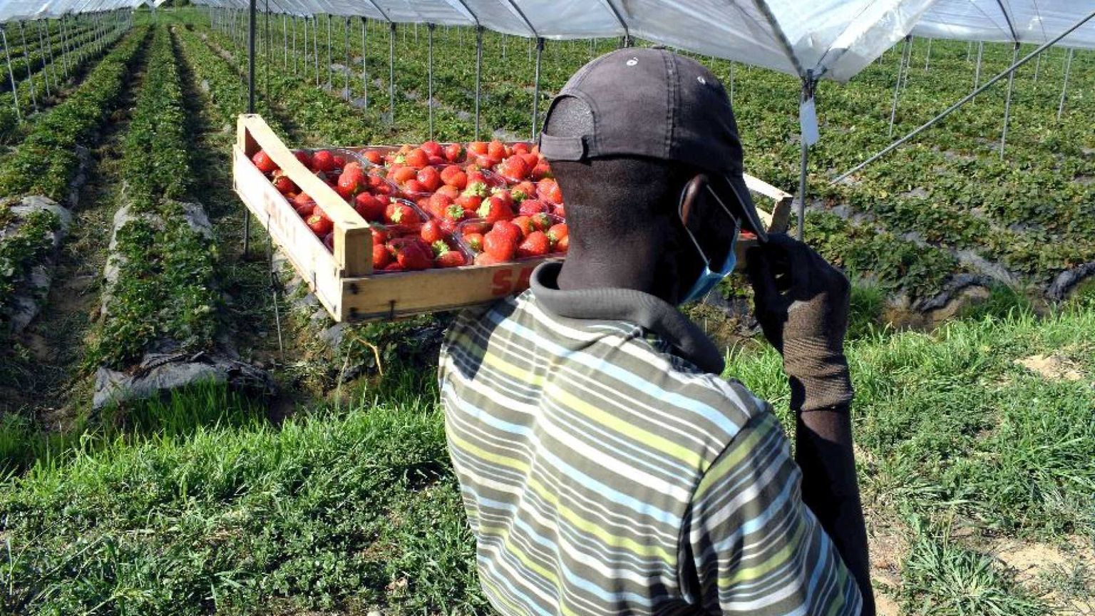No a un'altra estate di ghetti e caporali: la Chiesa scende in campo