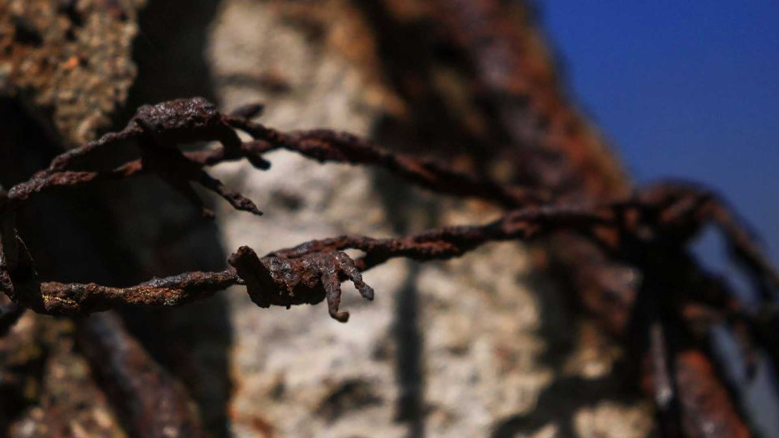 Martiri dei nazisti e della Guerra civile spagnola: ecco i 174 nuovi beati