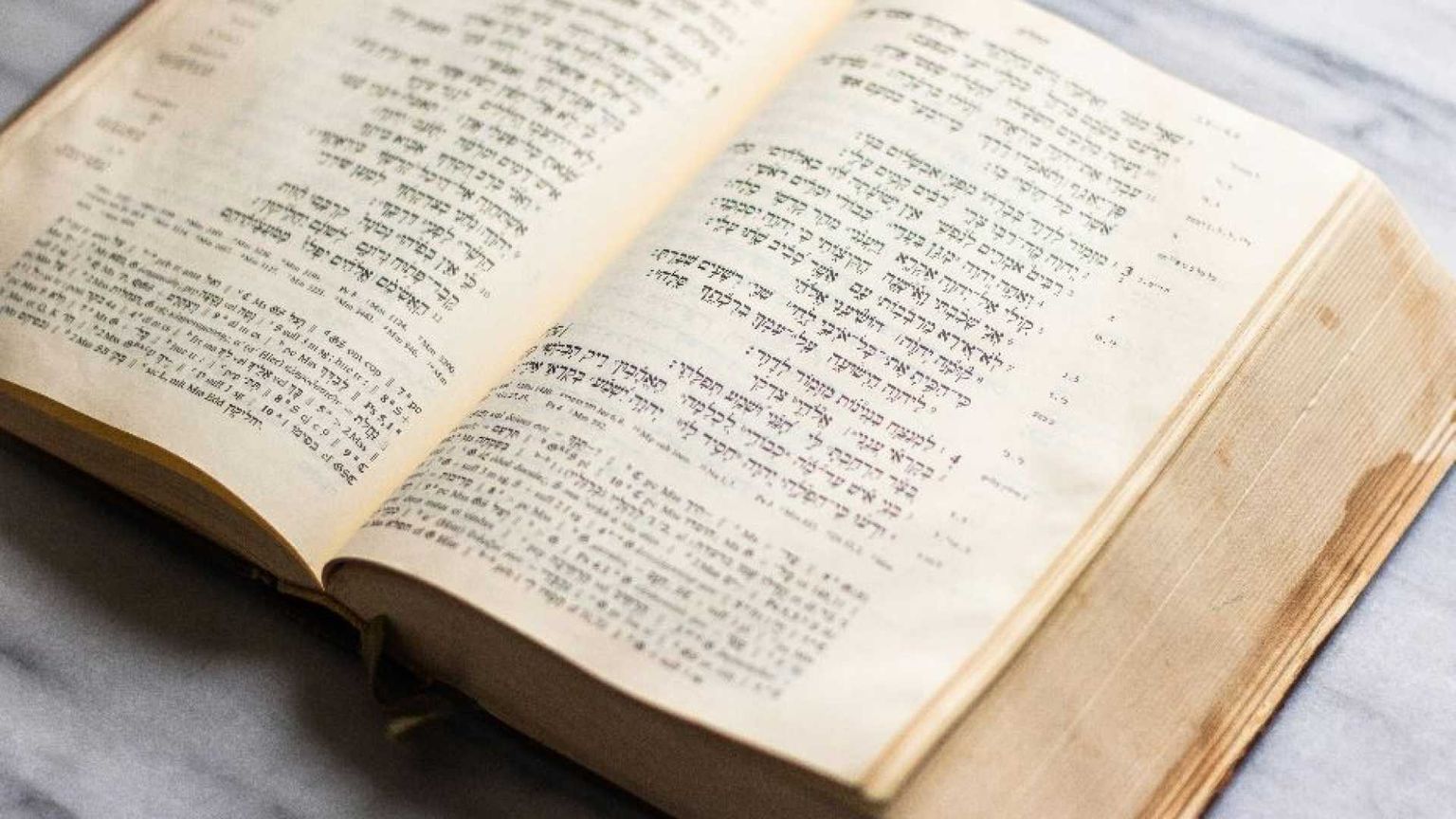 Baharier: «Così la sapienza biblica parla al mondo di oggi»