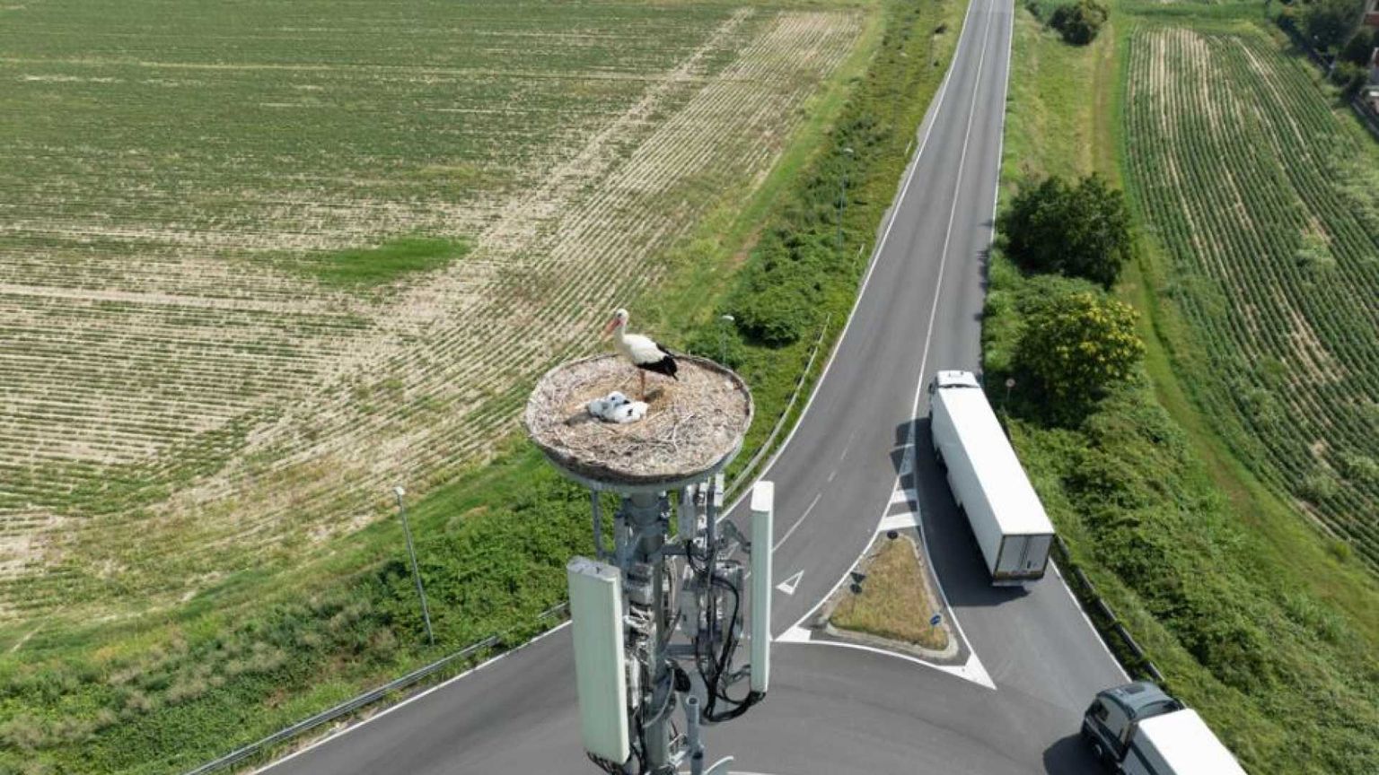 La rete che connette scuole, ospedali e le Olimpiadi 2026