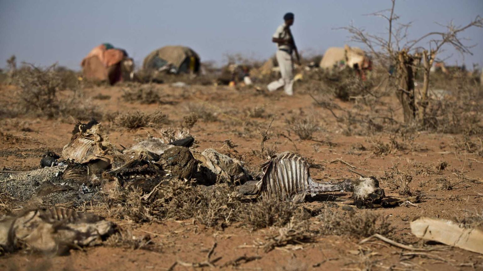 Oxfam: record di patrimoni dell'1% più ricco e della povertà estrema