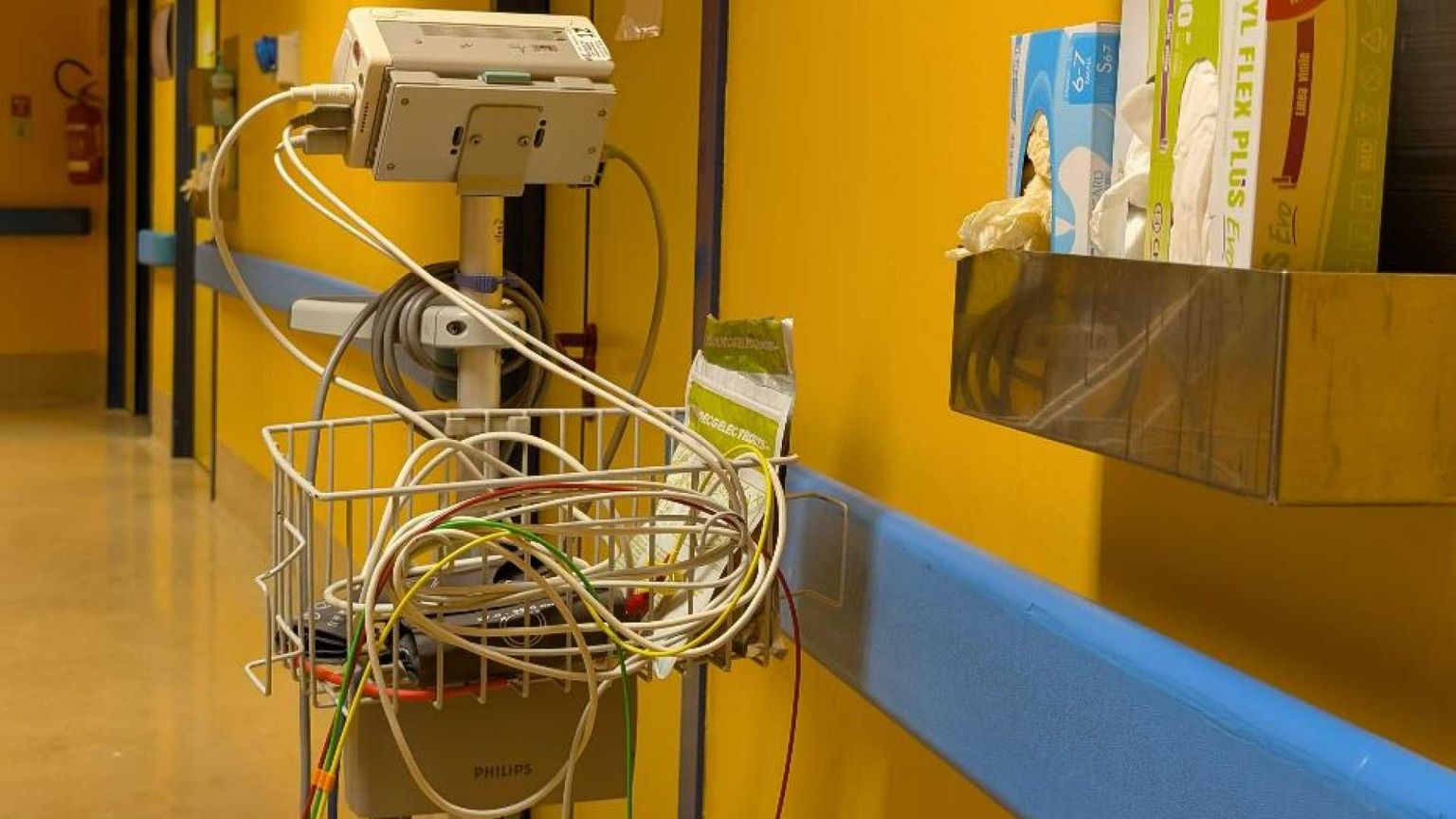 Fine vita, i 4 punti chiave del testo in discussione al Senato