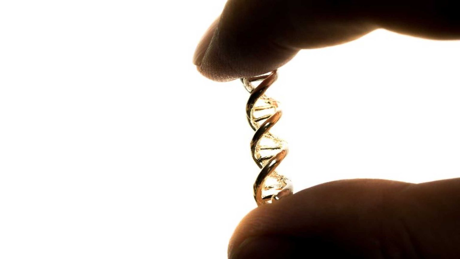 Bioetica e teologia morale, dialogo sulle sfide dell’umano