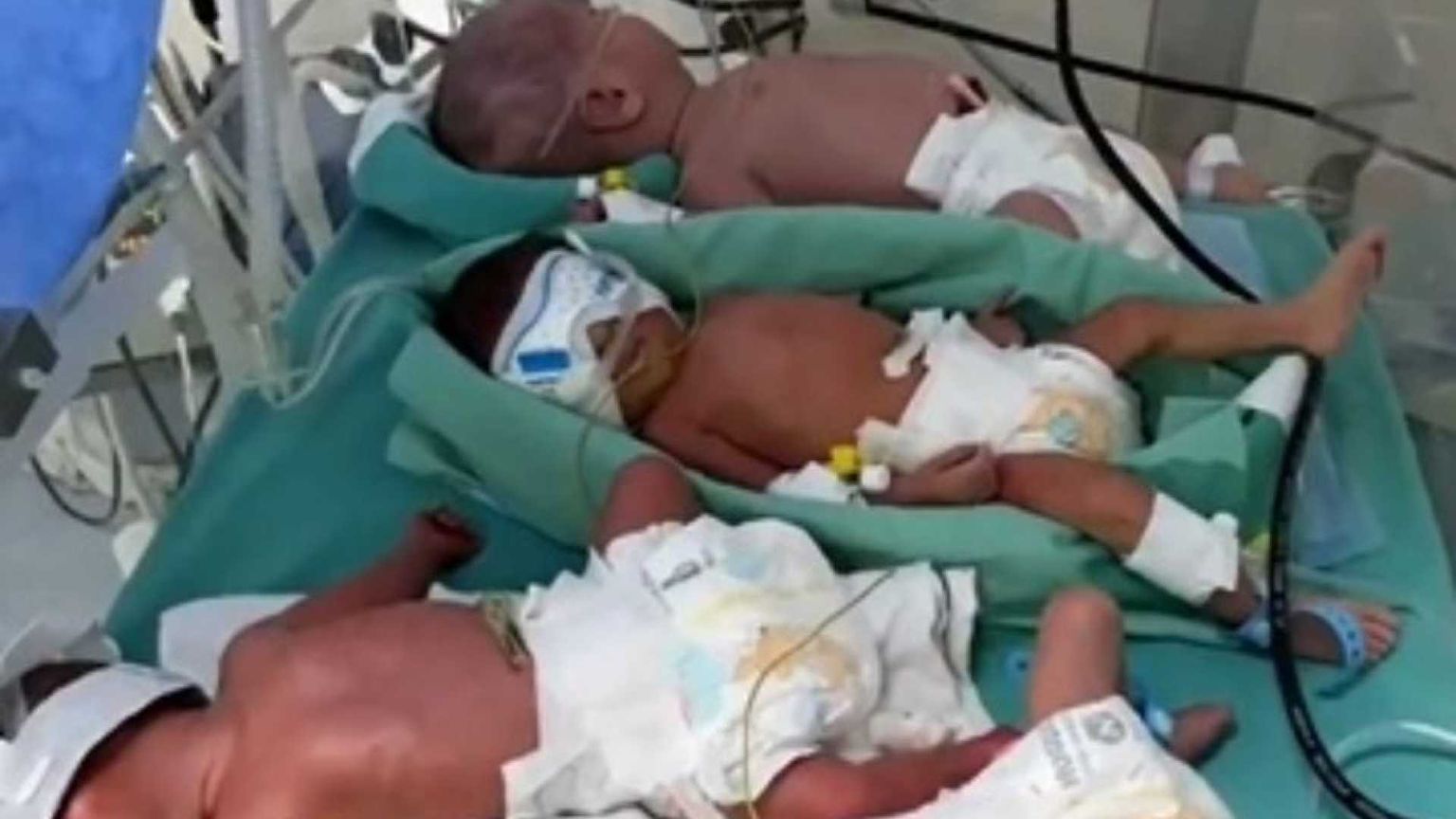 I neonati di Gaza, stipati in un'unica incubatrice