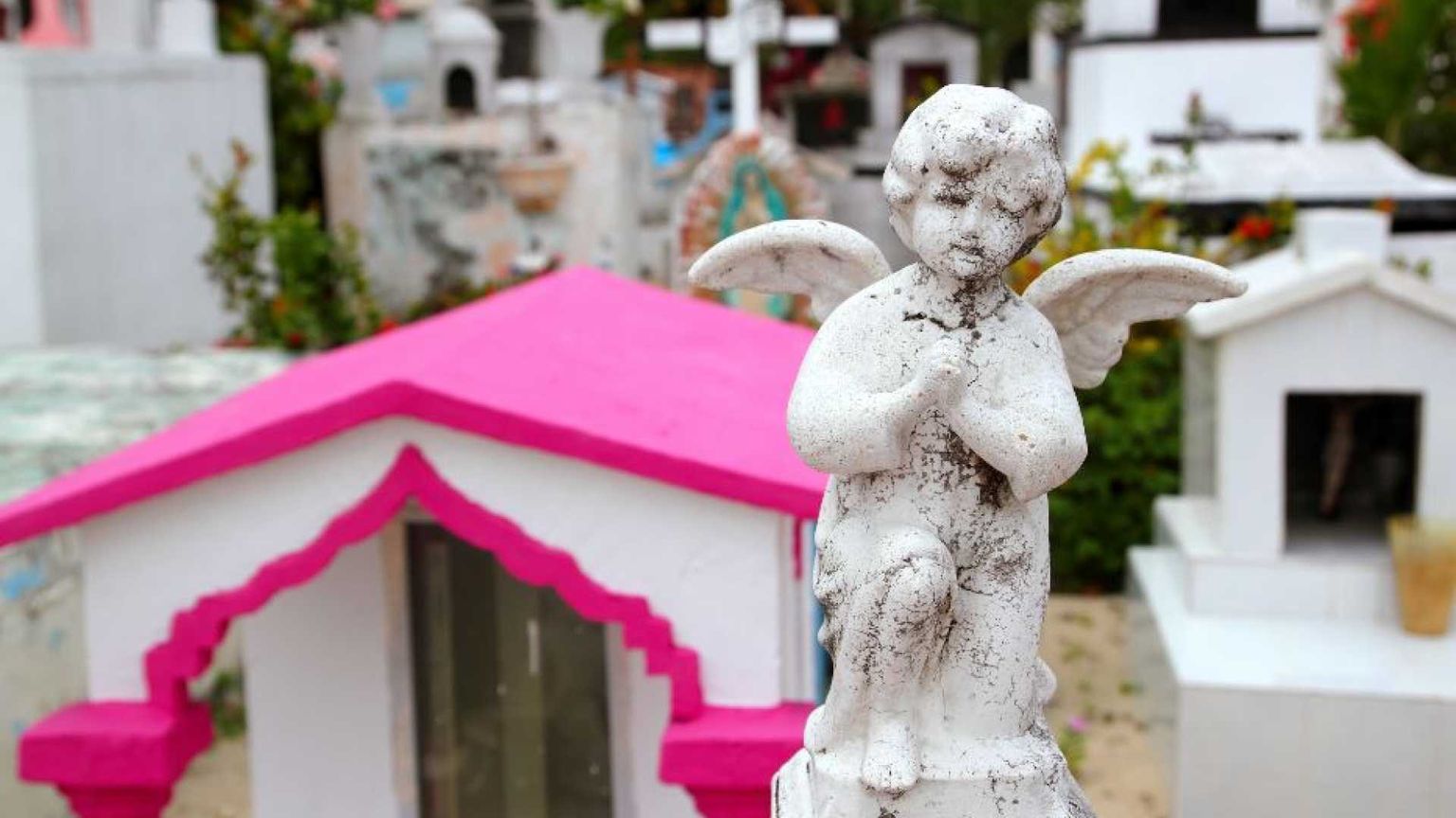 «Ai piccoli diciamo che la luce dell’anima non si spegnerà mai»