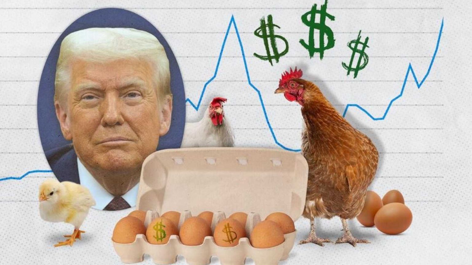 L'Uovo di Trump torna a far litigare l'America