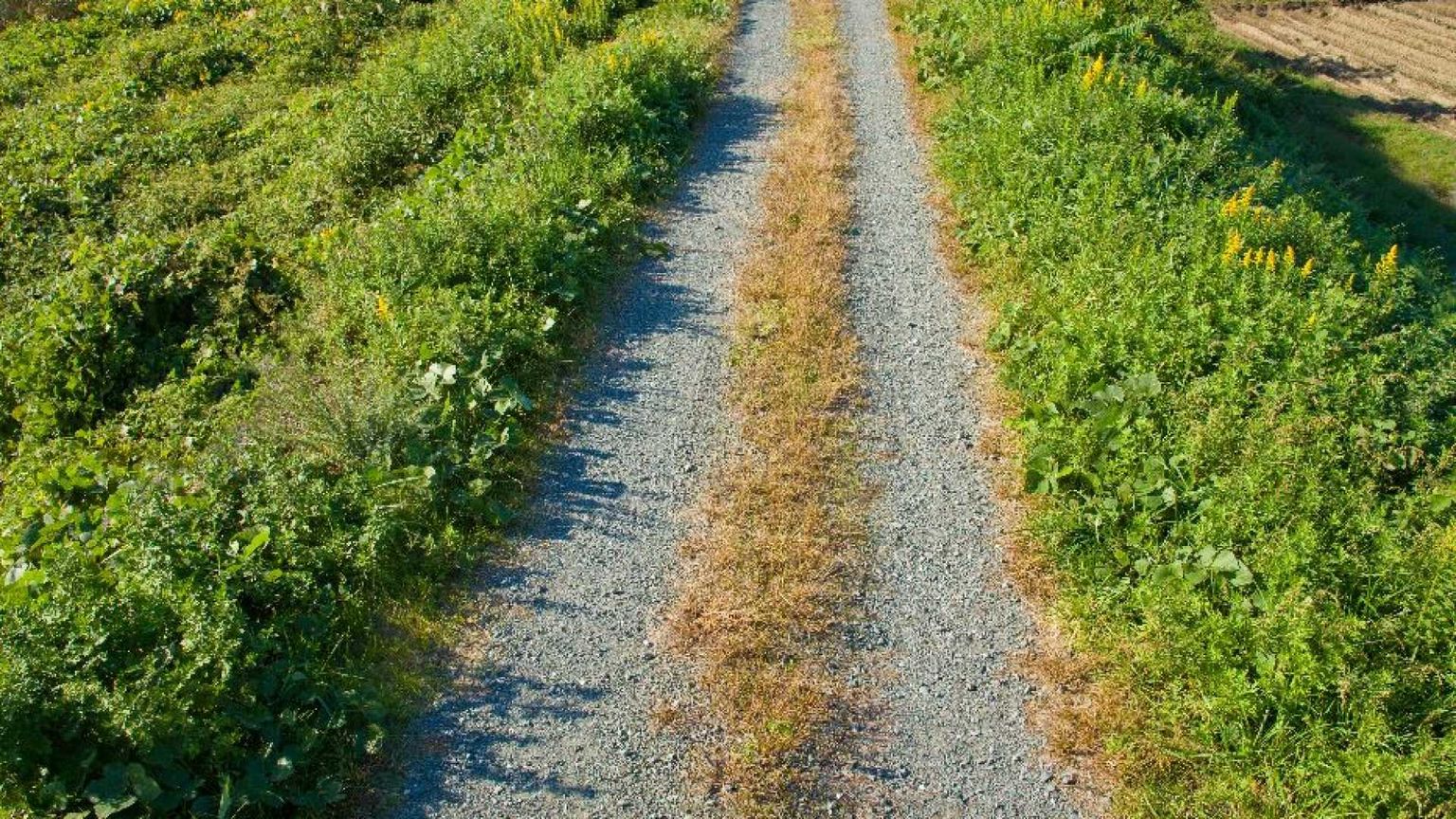 «Cosa vuoi conoscere?». La domanda che segna la strada
