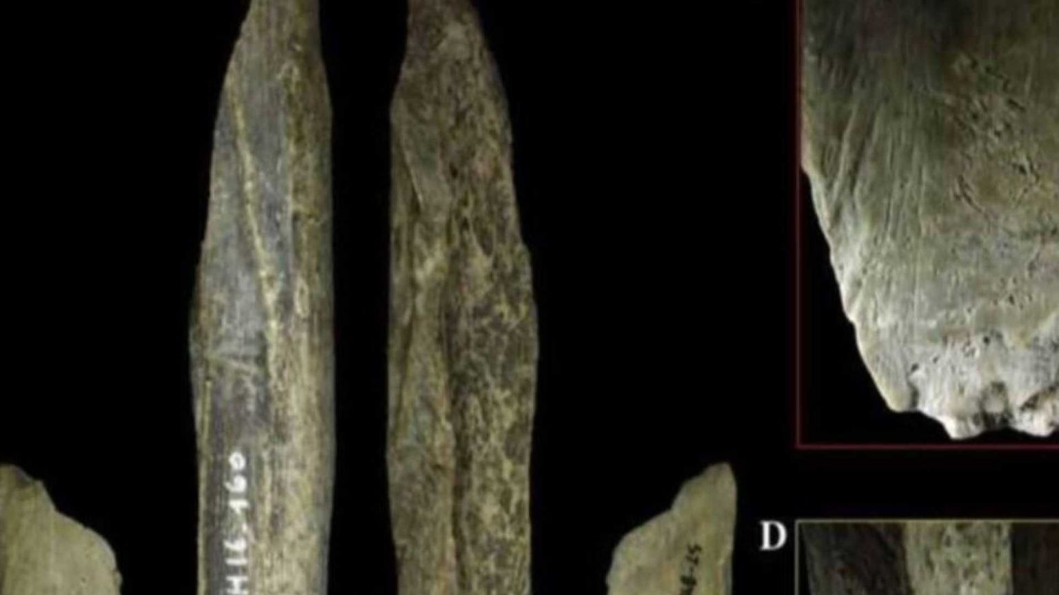 Scoperto in una grotta belga il coltellino svizzero dei Neanderthal