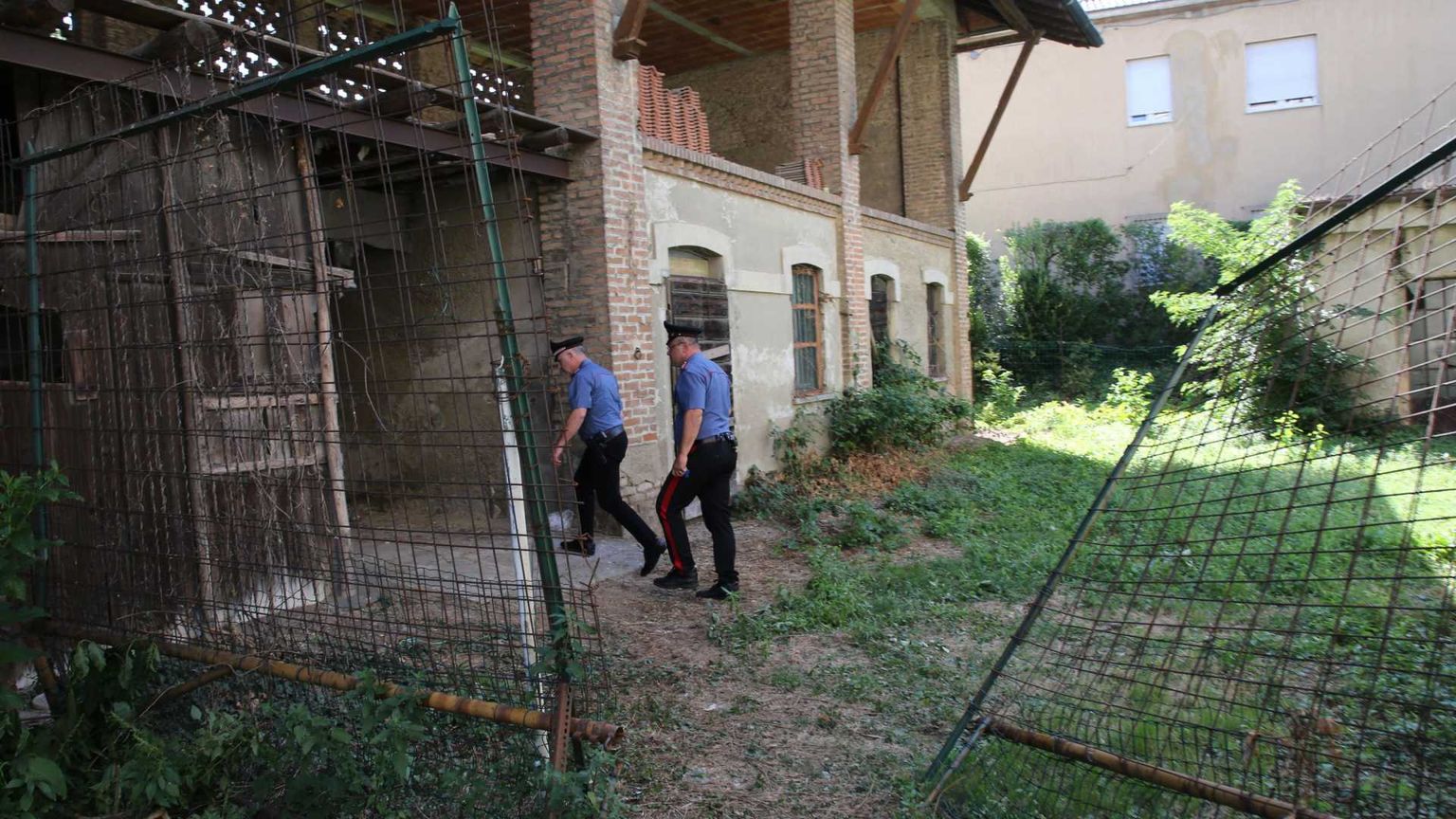 Geraldine, Ramona, Raisa: le donne continuano ad essere uccise