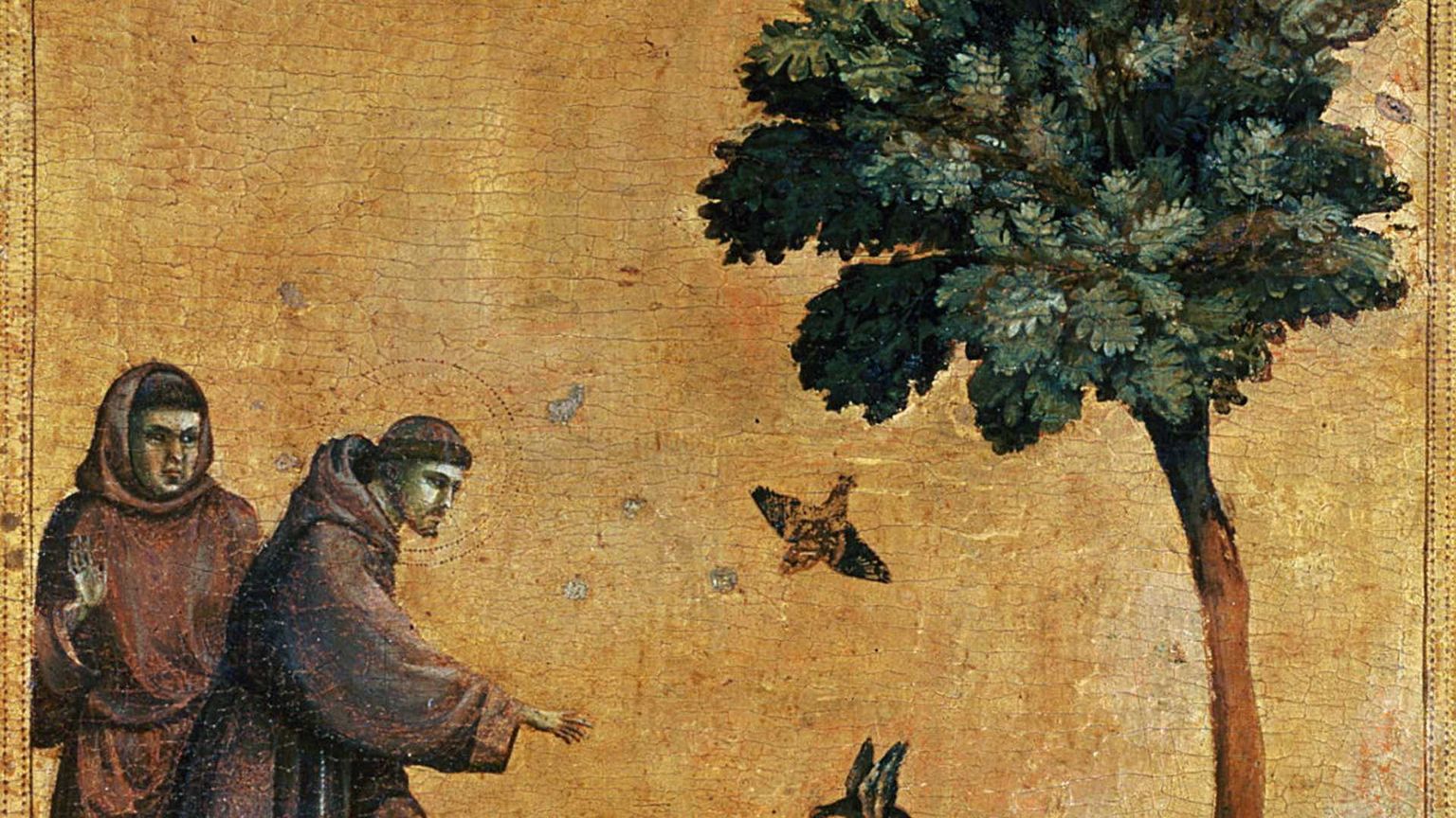 Gli 800 anni del Cantico delle Creature sono un manifesto per l'oggi