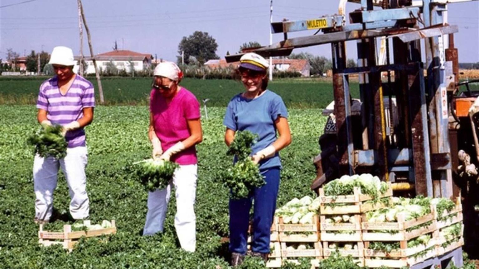 Al via il X bando di "Coltiviamo agricoltura sociale"