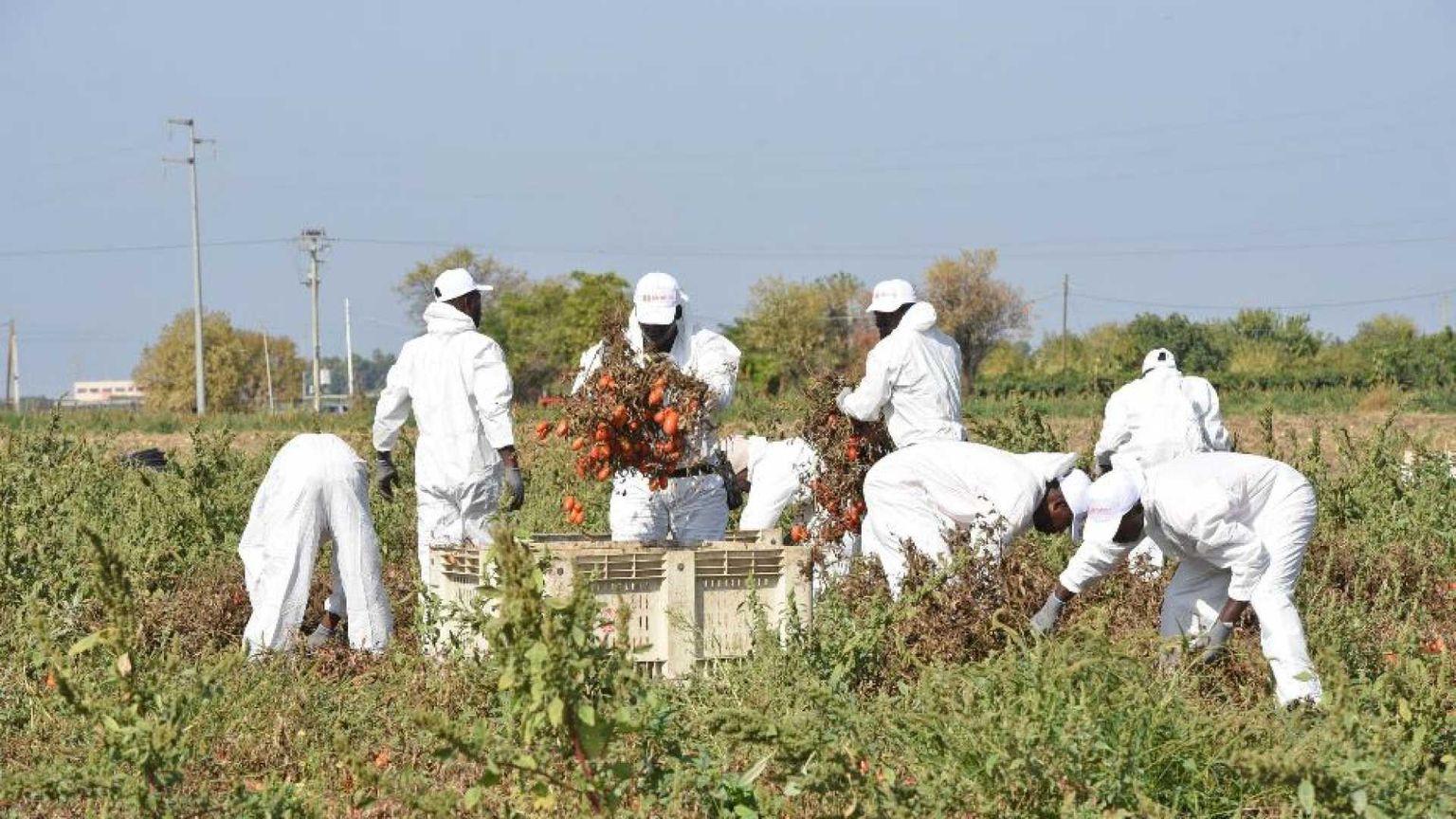 Fondi del Pnrr a rischio: spesi solo 26 milioni su 200