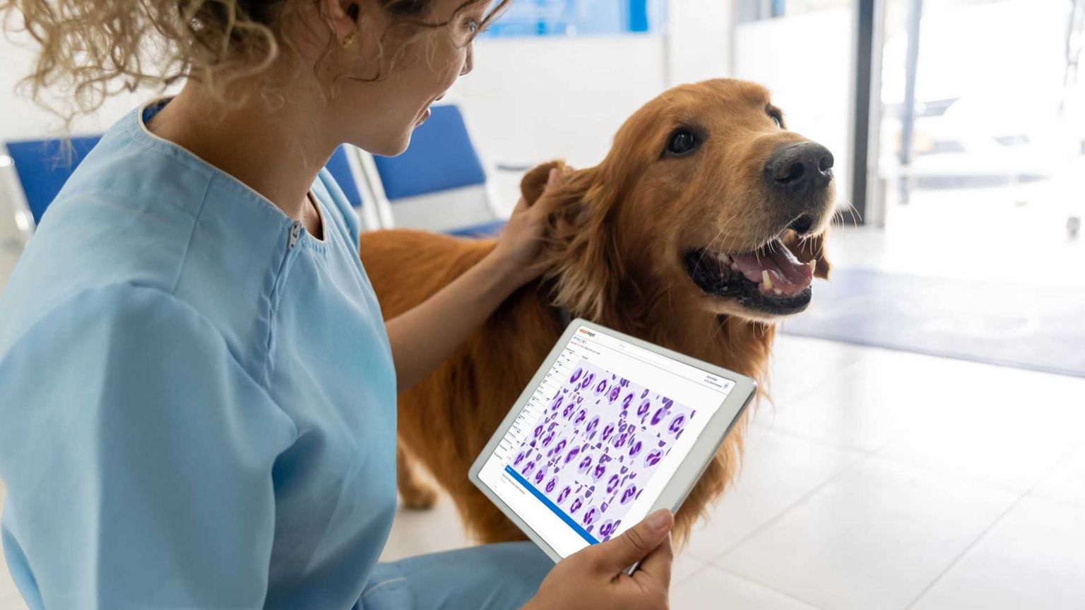 Veterinari, la sfida dell'innovazione
