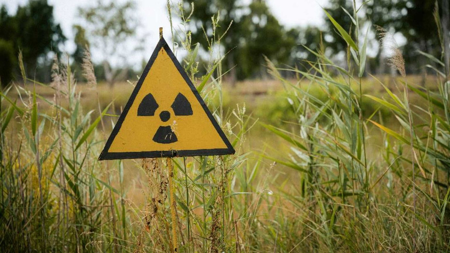 Il terrore sottile dell'uomo mutante in un mondo contaminato
