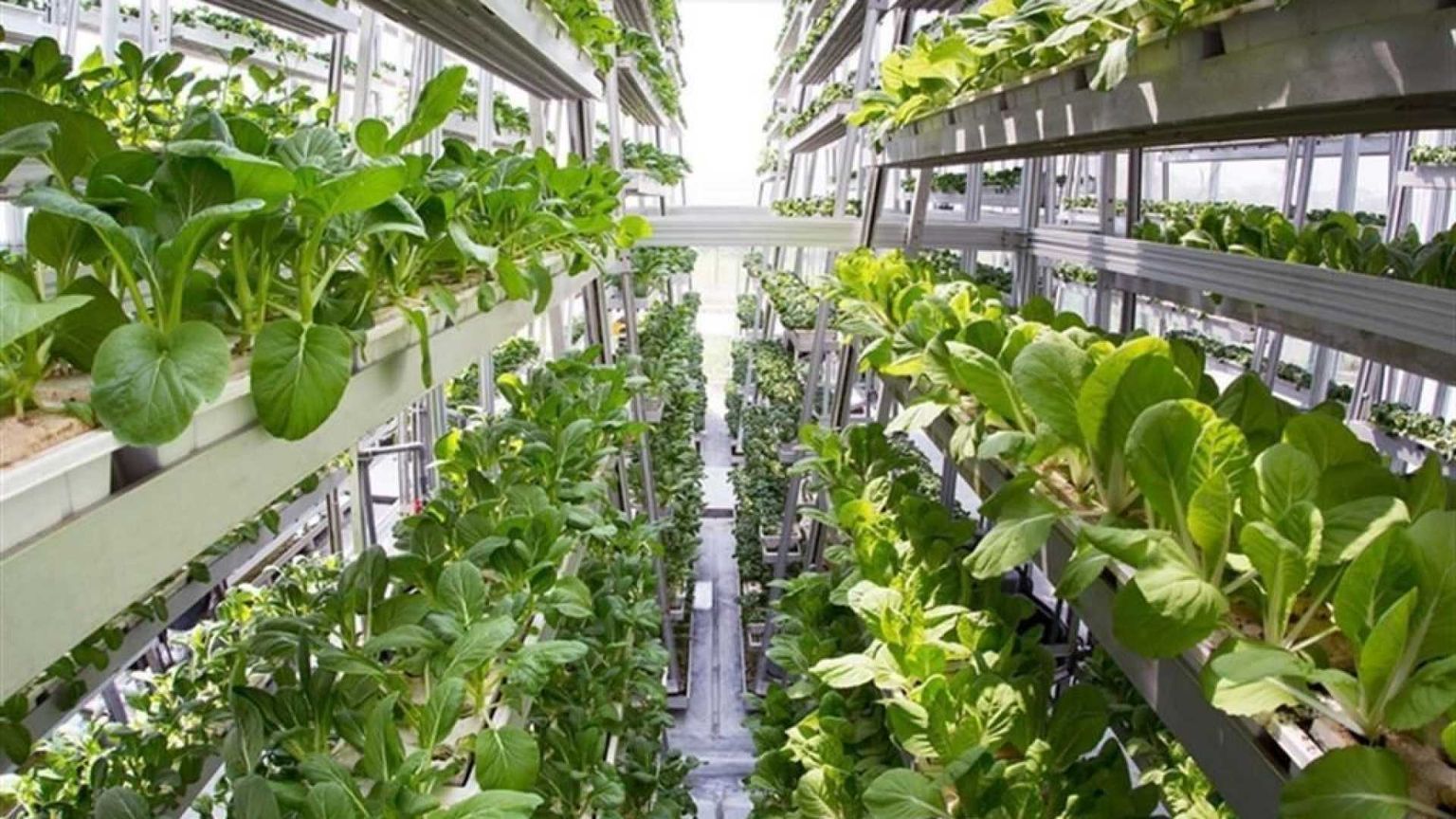 Nel 2024 ha generato un valore pari a 426,8 miliardi di euro