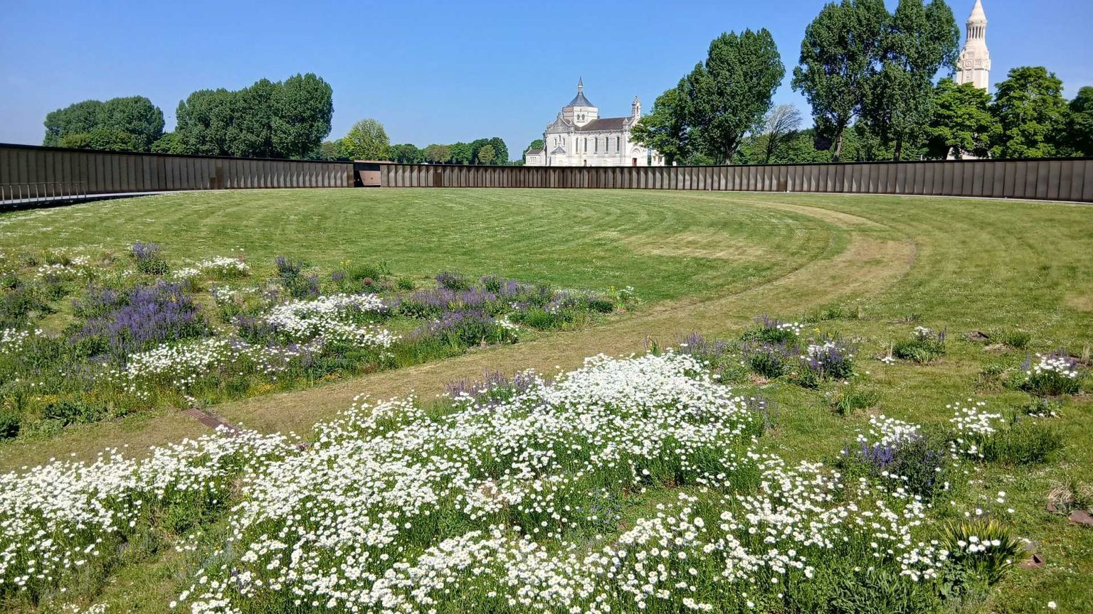 Arras, la città "reduce di guerra" che ha costruito la sua speranza