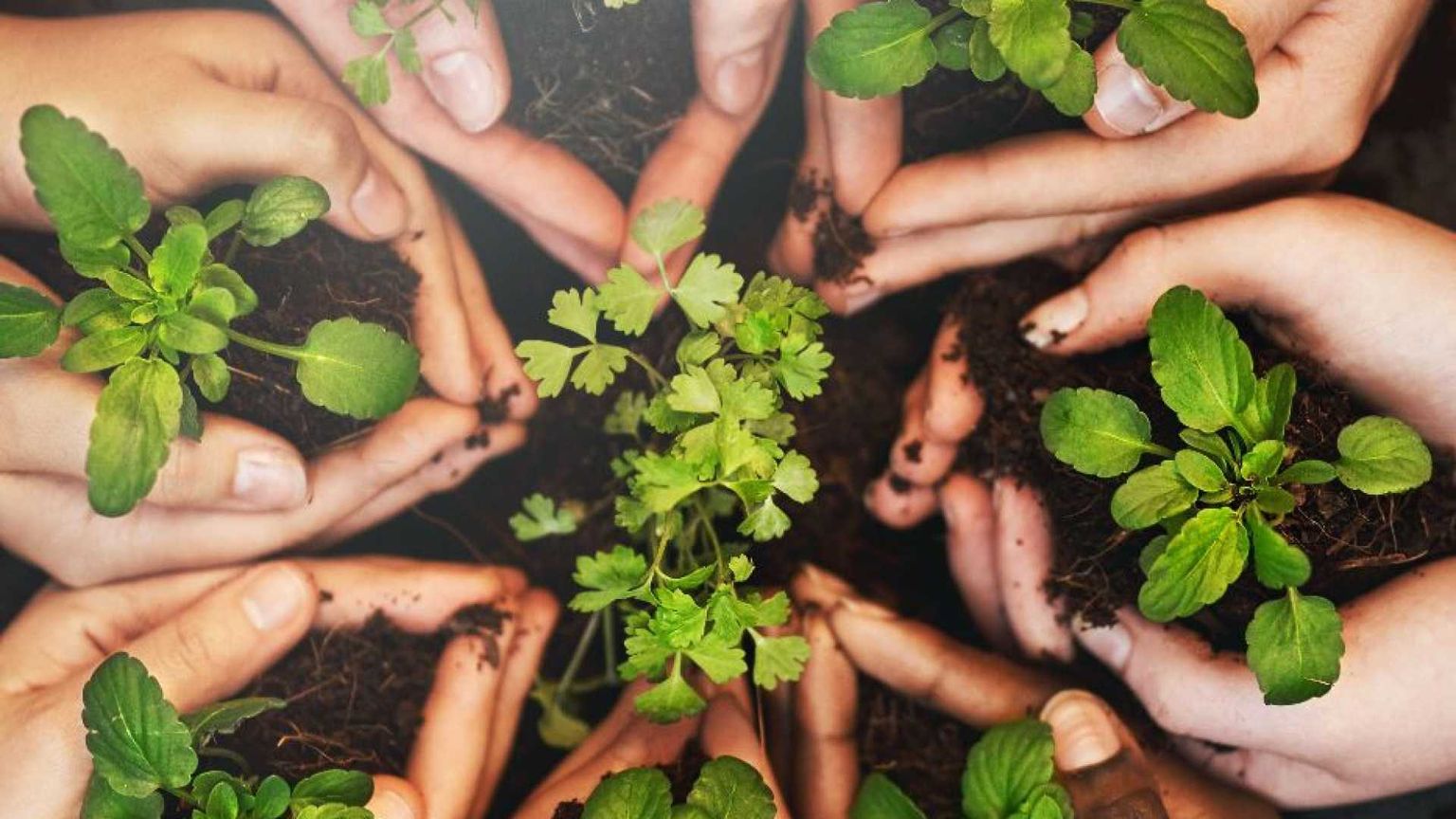 Dialogo e ascolto, così la Bibbia insegna alla scienza a difendere il Creato