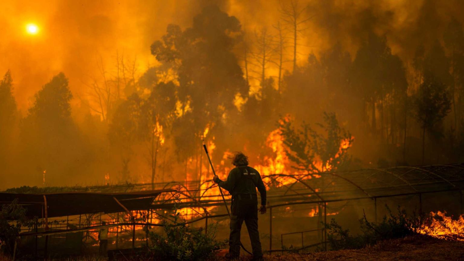 Incendi in Spagna: i pellegrini in fuga dal Cammino di Santiago