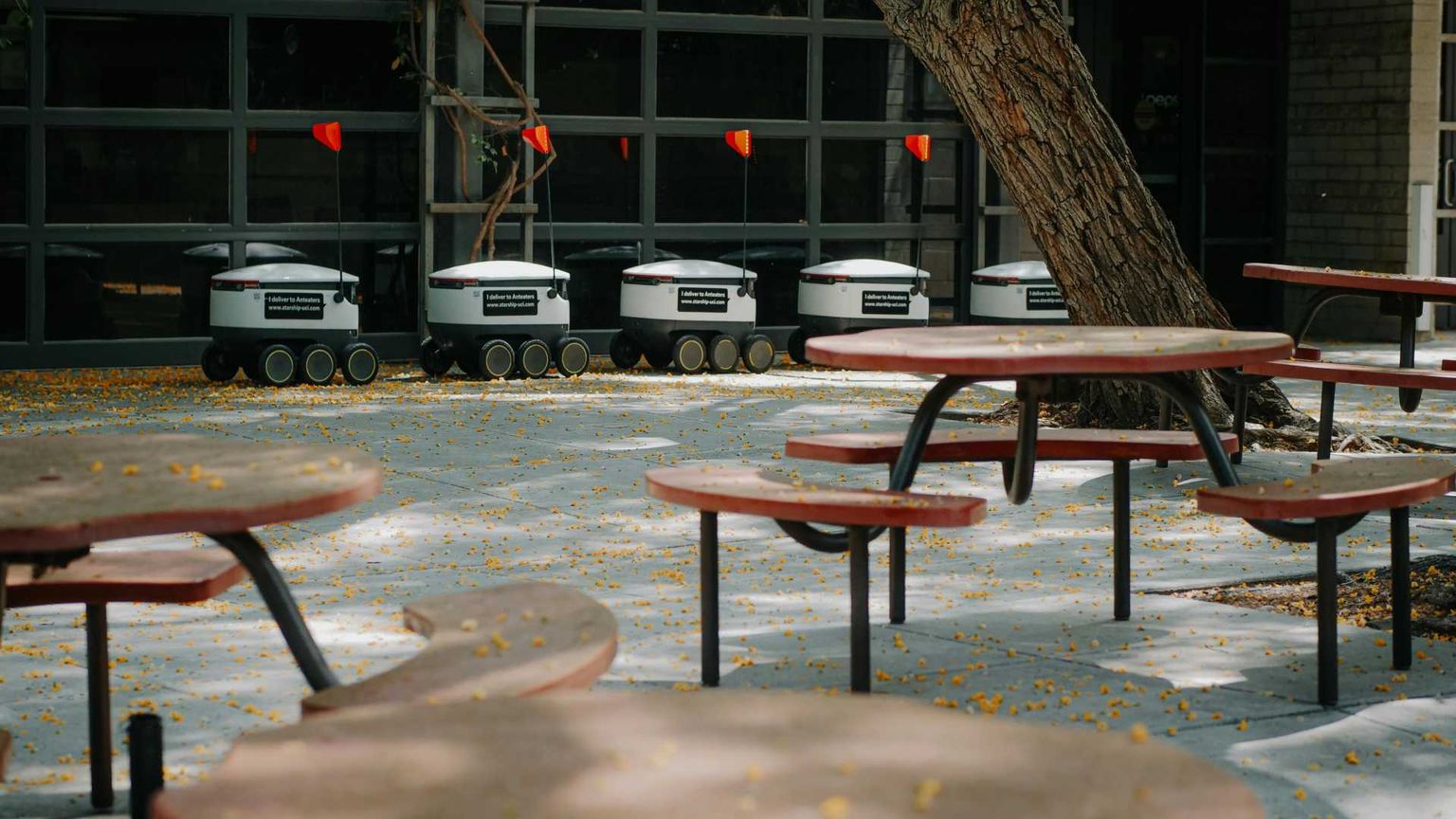 Lavorare fra un quarto di secolo, in mezzo a robot e agenti IA