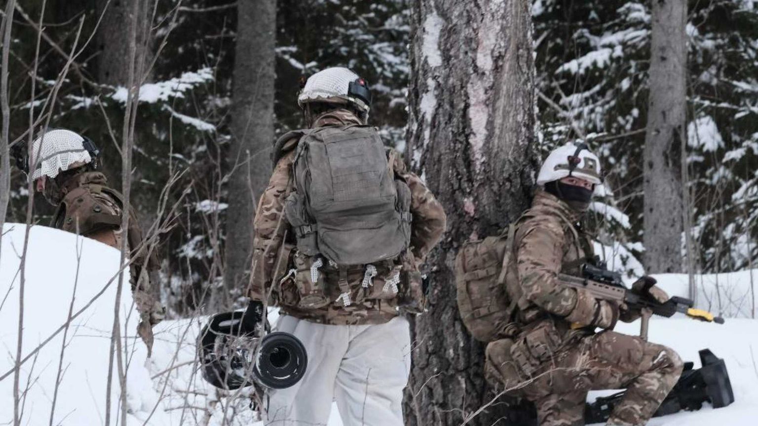 Sicurezza e banda larga: l'Estonia s'è liberata dalla Russia