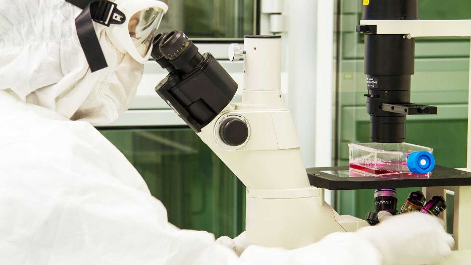 Neuroblastoma, il successo delle cellule Car-T